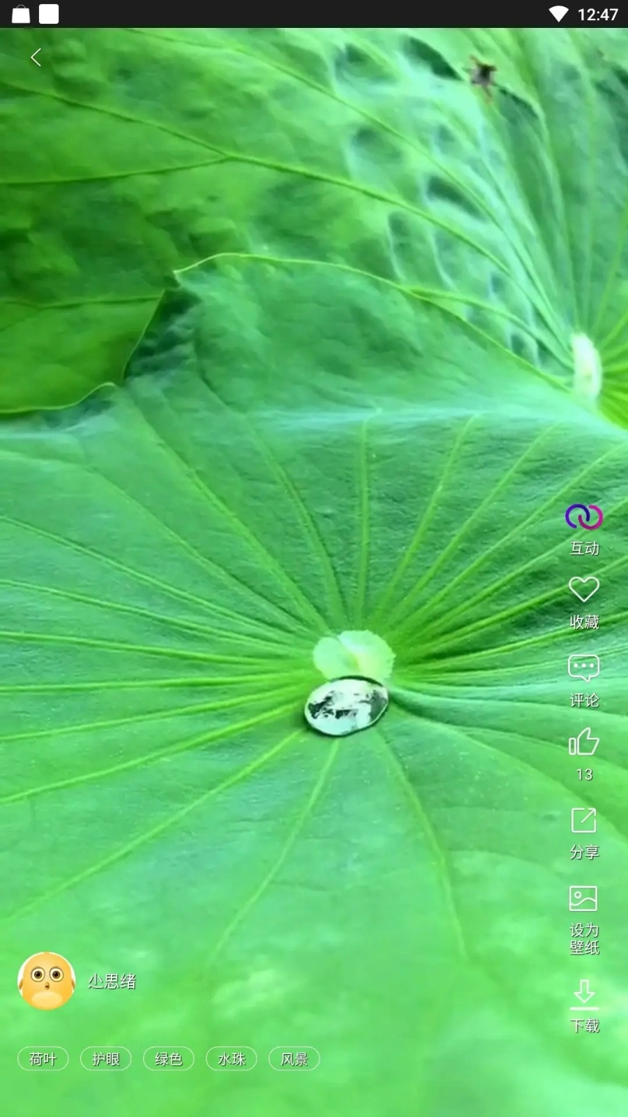 炫彩壁纸秀正版截图3