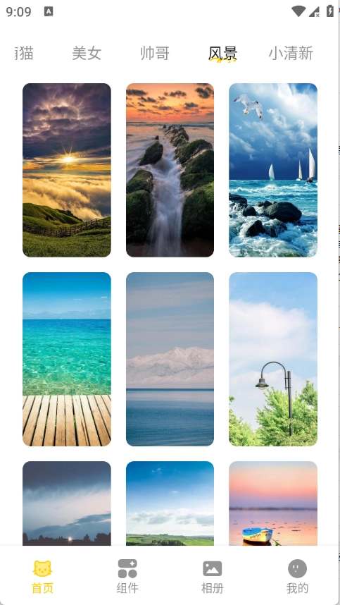 萌巨壁纸正版截图4