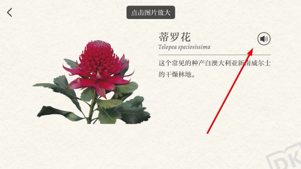 dk百科全书
