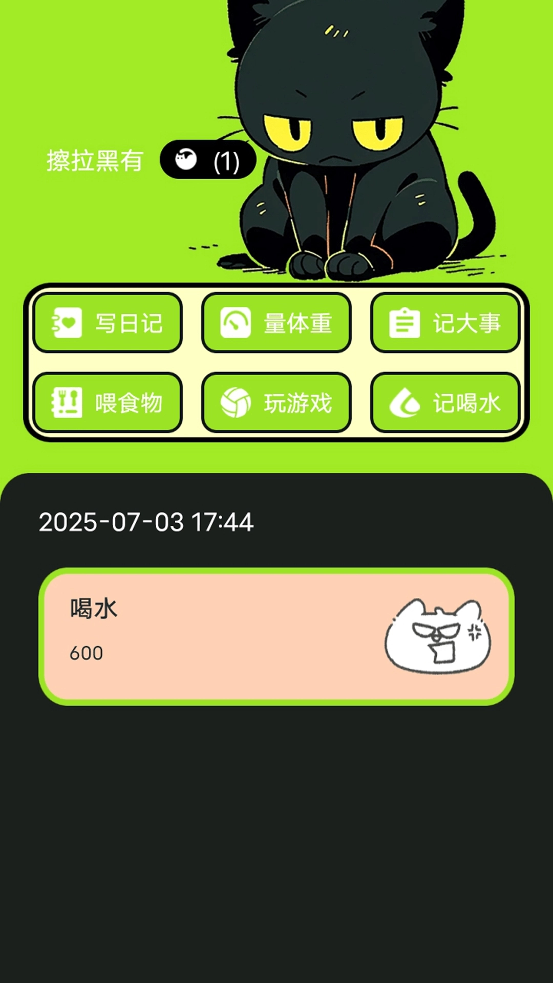 村庄叮叮猫安卓版