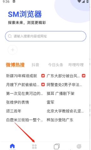SM浏览器免费版截图2