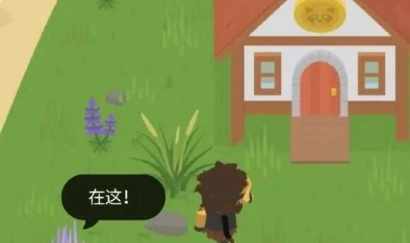 捣蛋大脚怪