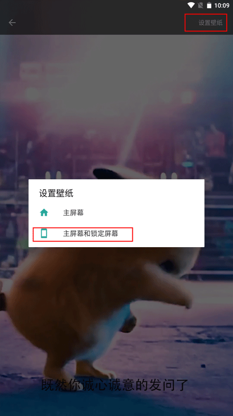 皮皮壁纸手机版
