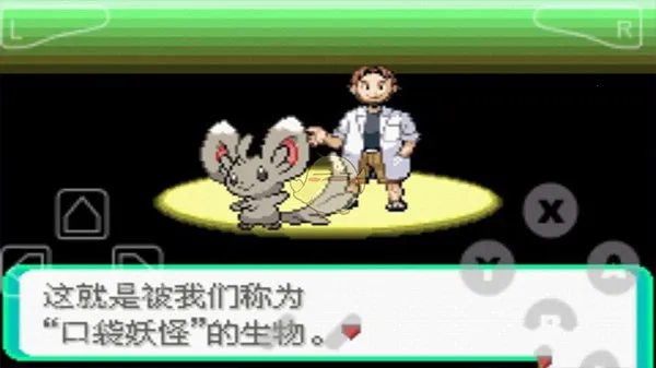 口袋妖怪漆黑的魅影最新版截图4