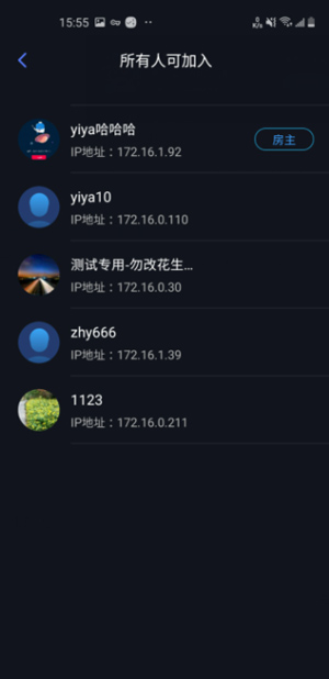 贝锐蒲公英联机截图4