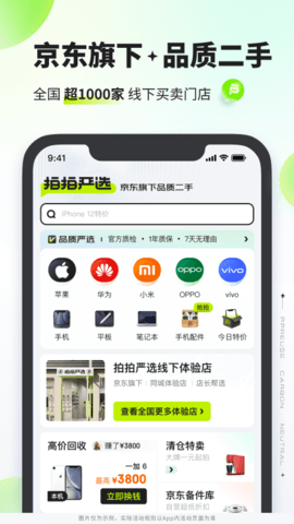 拍拍