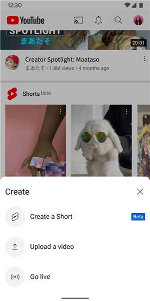 youtube安卓版截图0