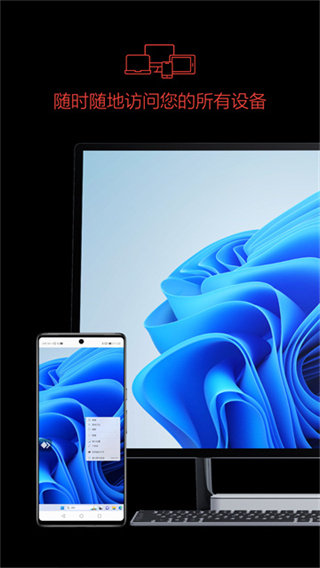 anydesk截图3