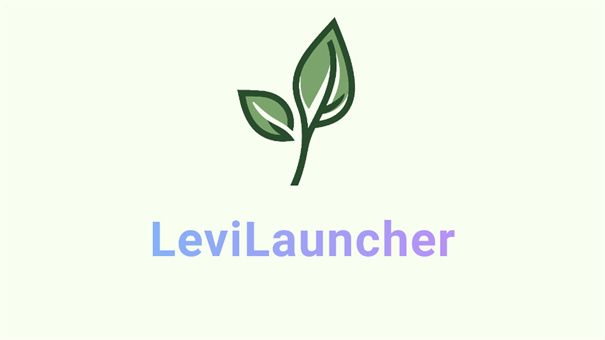 LeviLauncher启动器截图0