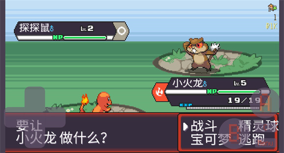 宝可梦肉鸽截图1