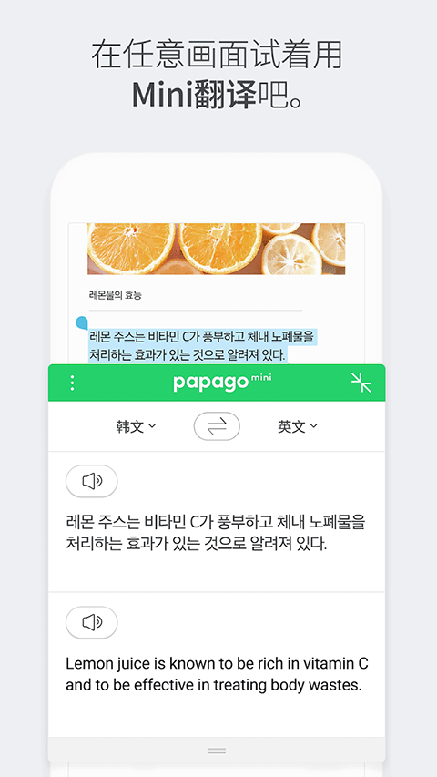 Papago安卓版