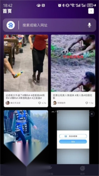 S浏览器