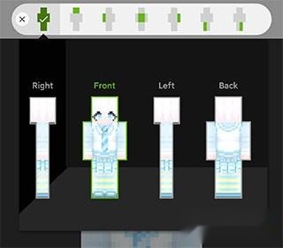 skinseed中文汉化版