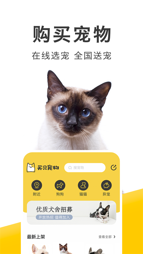买只宠物截图0