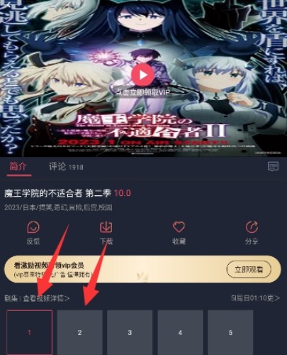 当鸟动漫正版