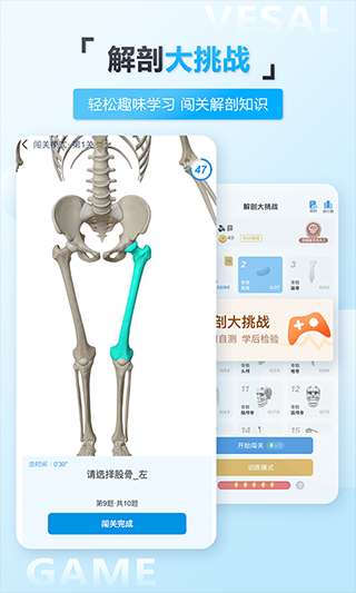 维萨里3D解剖截图0