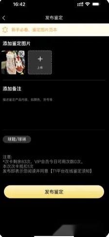 鉴定师