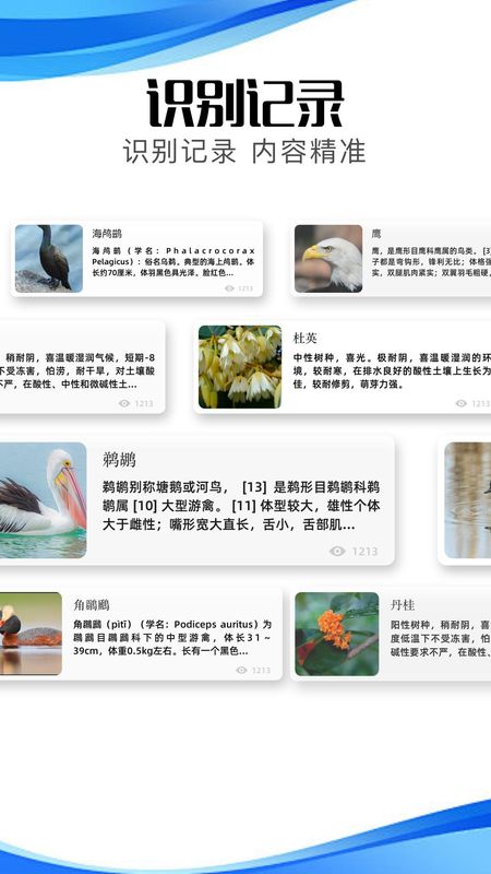 冷眸