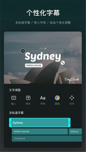VN视频剪辑软件截图1