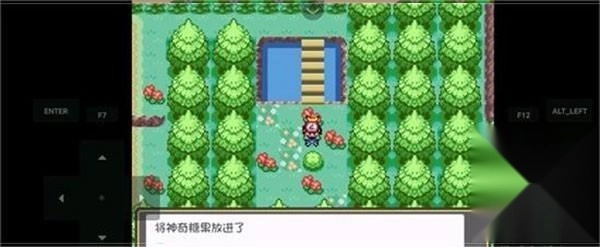 口袋妖怪燃之智安卓版