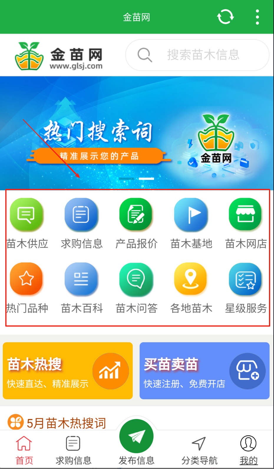 金苗网