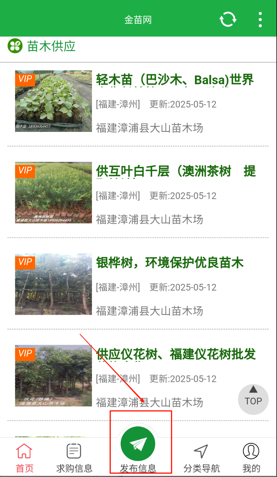 金苗网