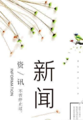 YoYo资讯截图1