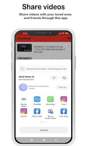 flash player