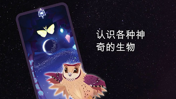 彩翼之星夜截图1