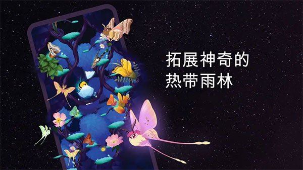 彩翼之星夜截图3