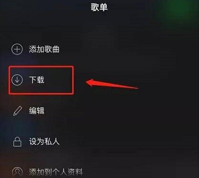 spotify安卓版
