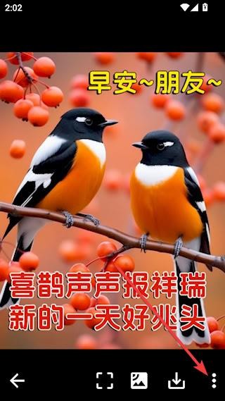图片大师最新版