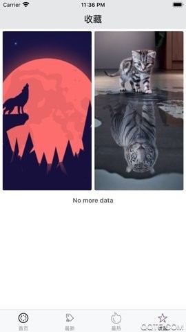 百变桌面壁纸安卓版截图2