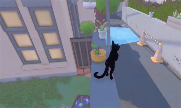 小猫咪大城市