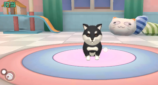 养了个猫