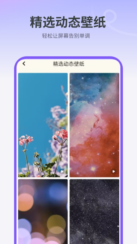 天天屏保截图3