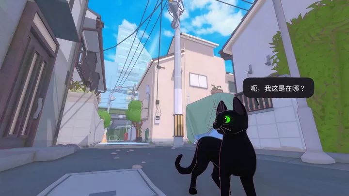 小猫咪大城市模拟器截图0