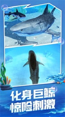 海底生存截图2