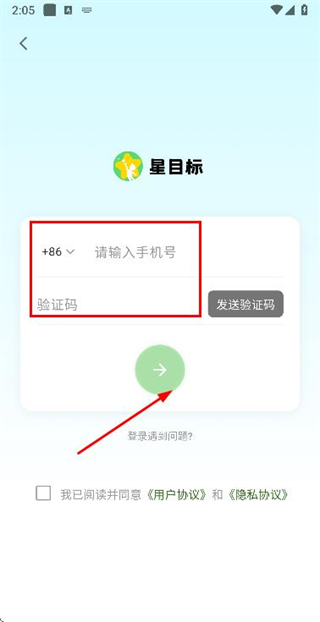 星目标