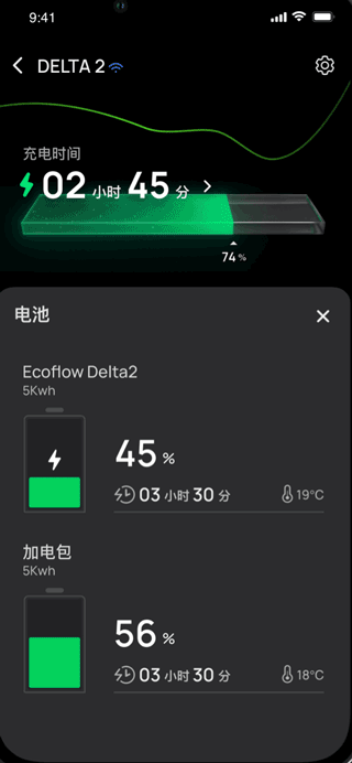 EcoFlow正版