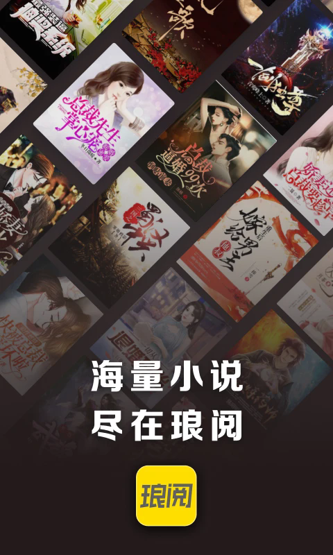 琅阅小说免费版截图0