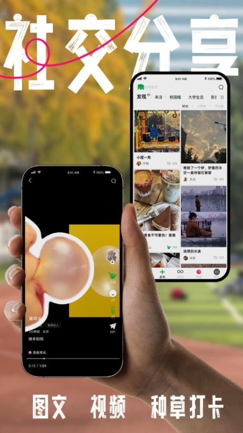 桃象截图2