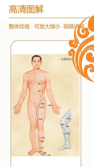 经络养生截图1