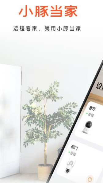 小豚当家