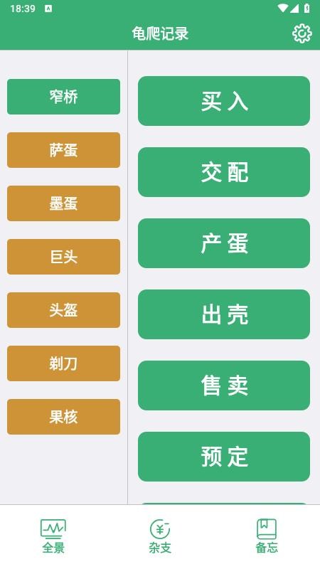 龟爬记录