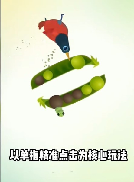 疯狂的鸽子安卓版