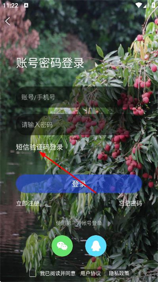 莆鱼网