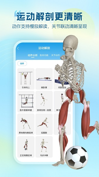 维萨里3D解剖截图3