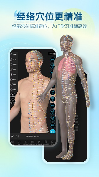 维萨里3D解剖截图4