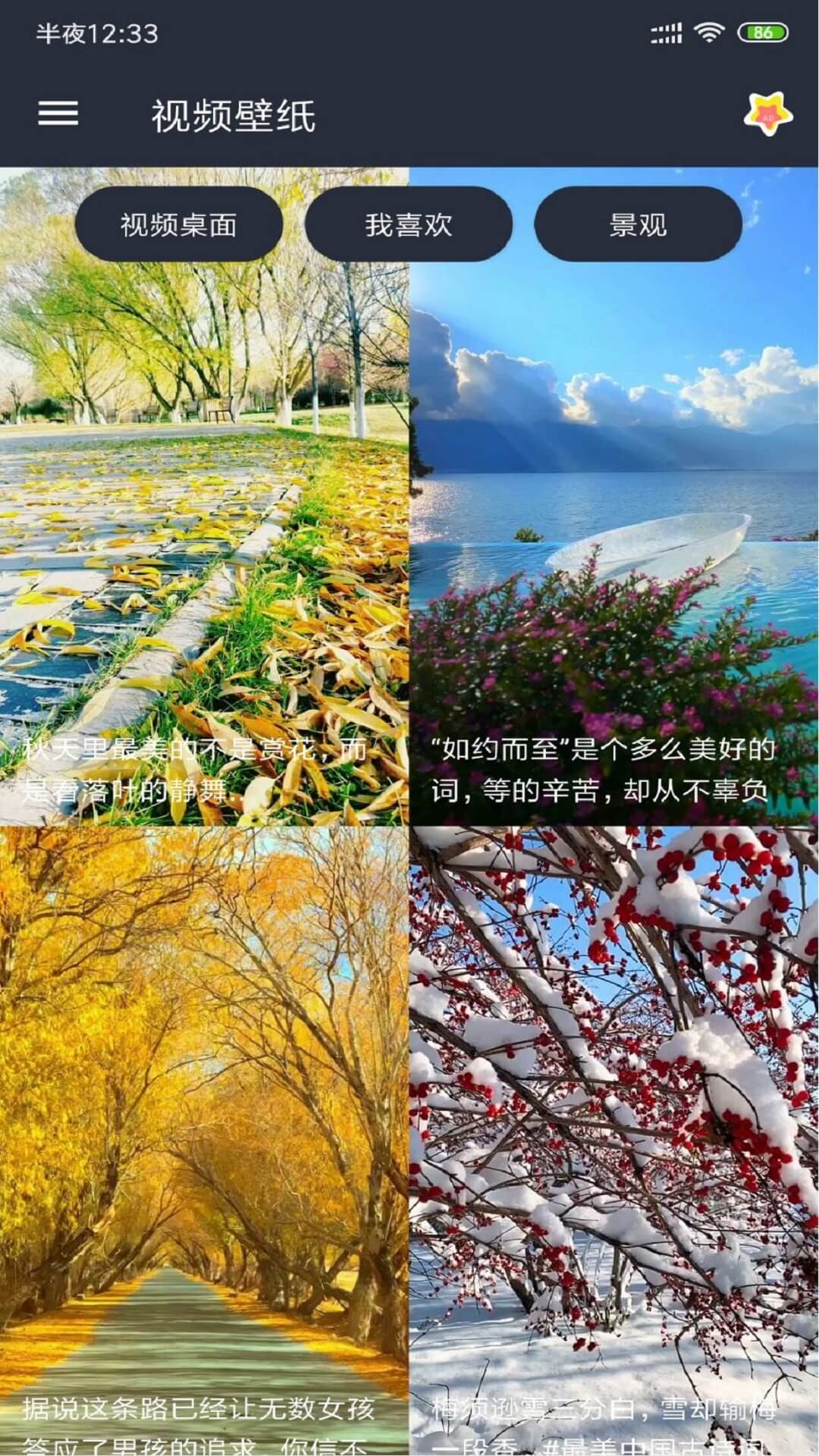 视频壁纸手机版截图2